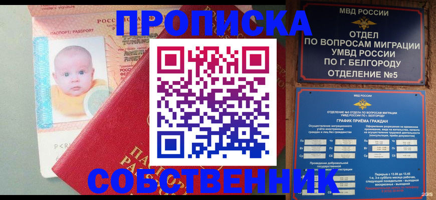 регистрация через МВД в Павловске